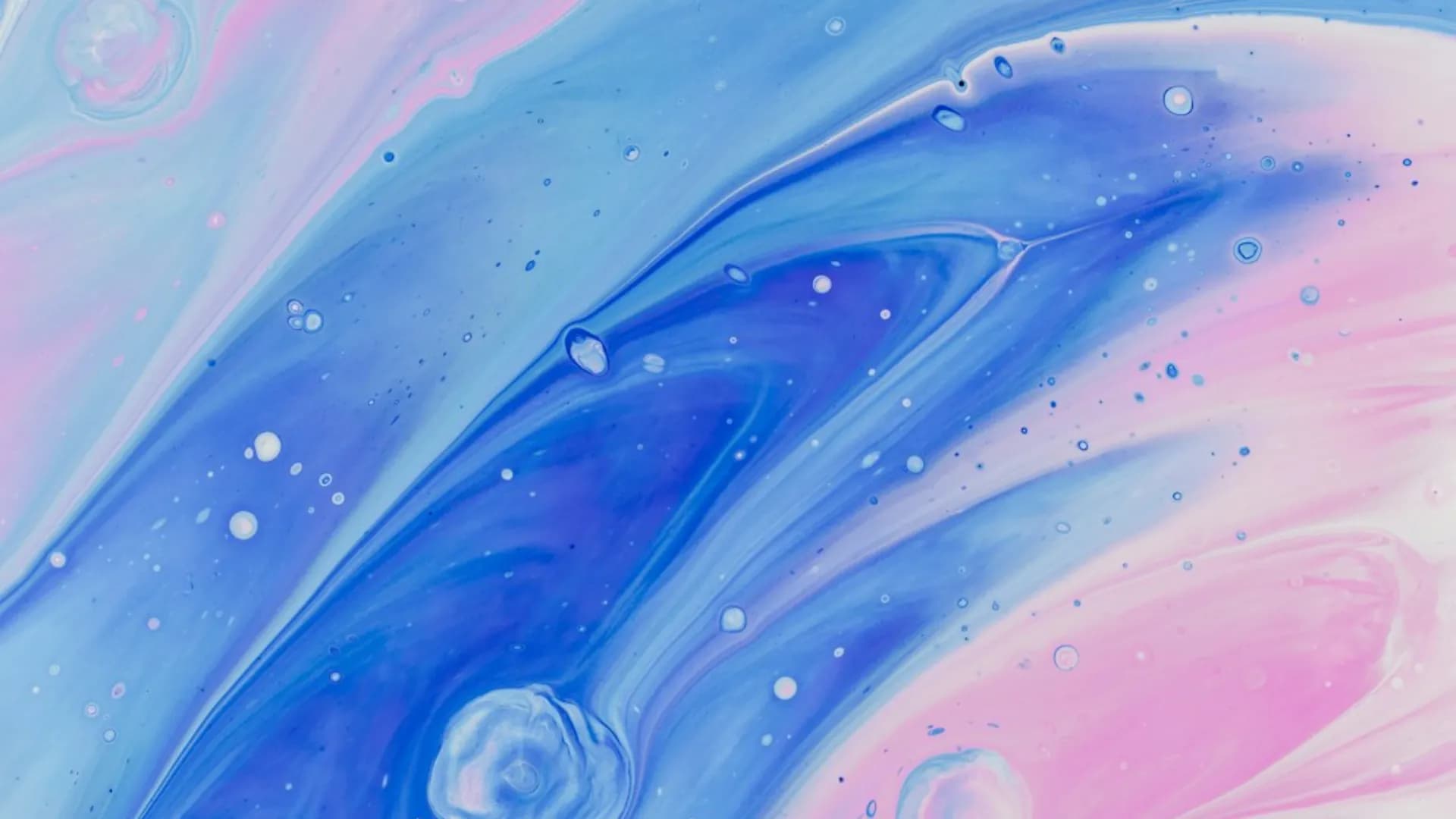 new2-test-final preview 11