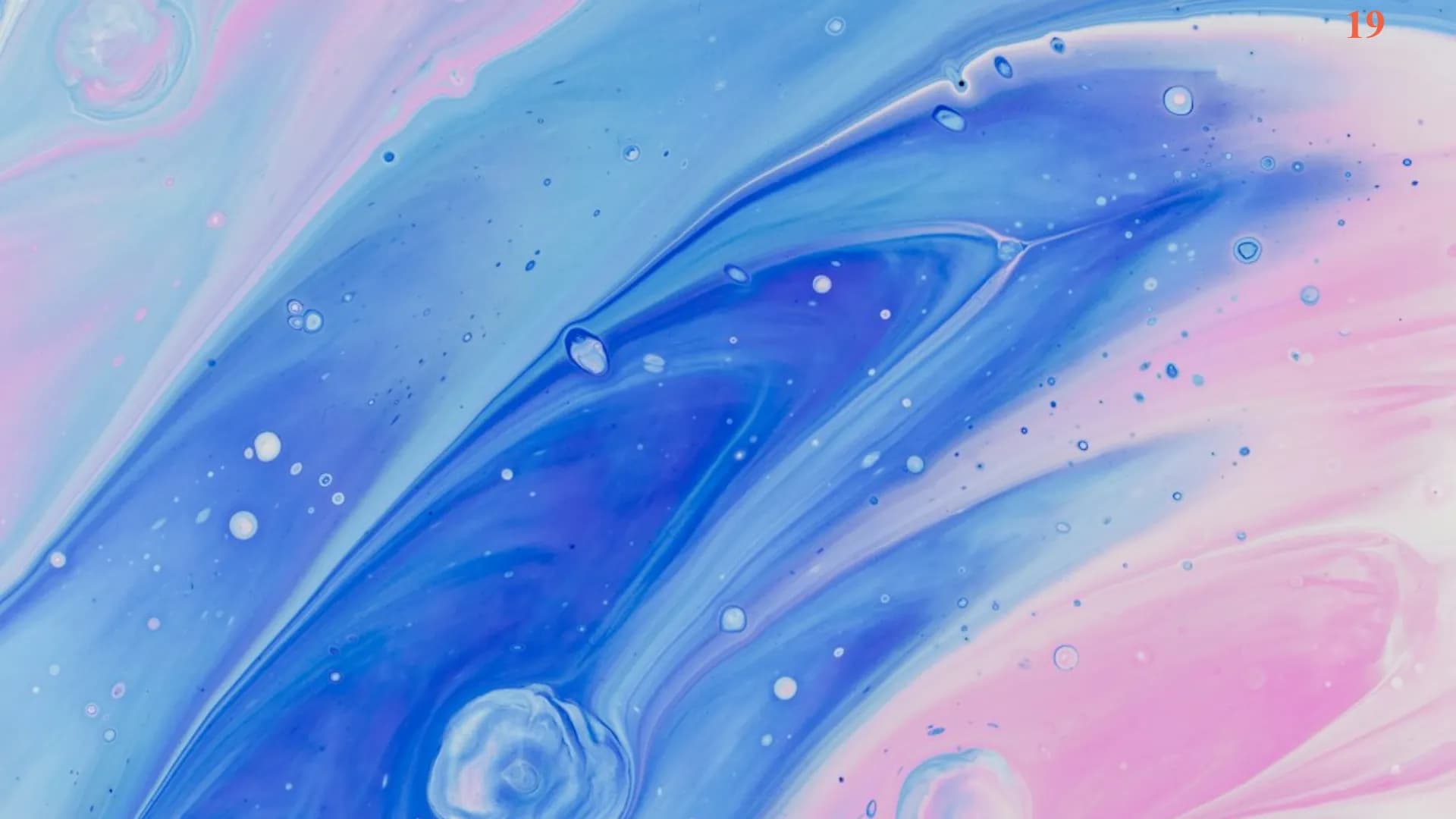 new2-test-final preview 12